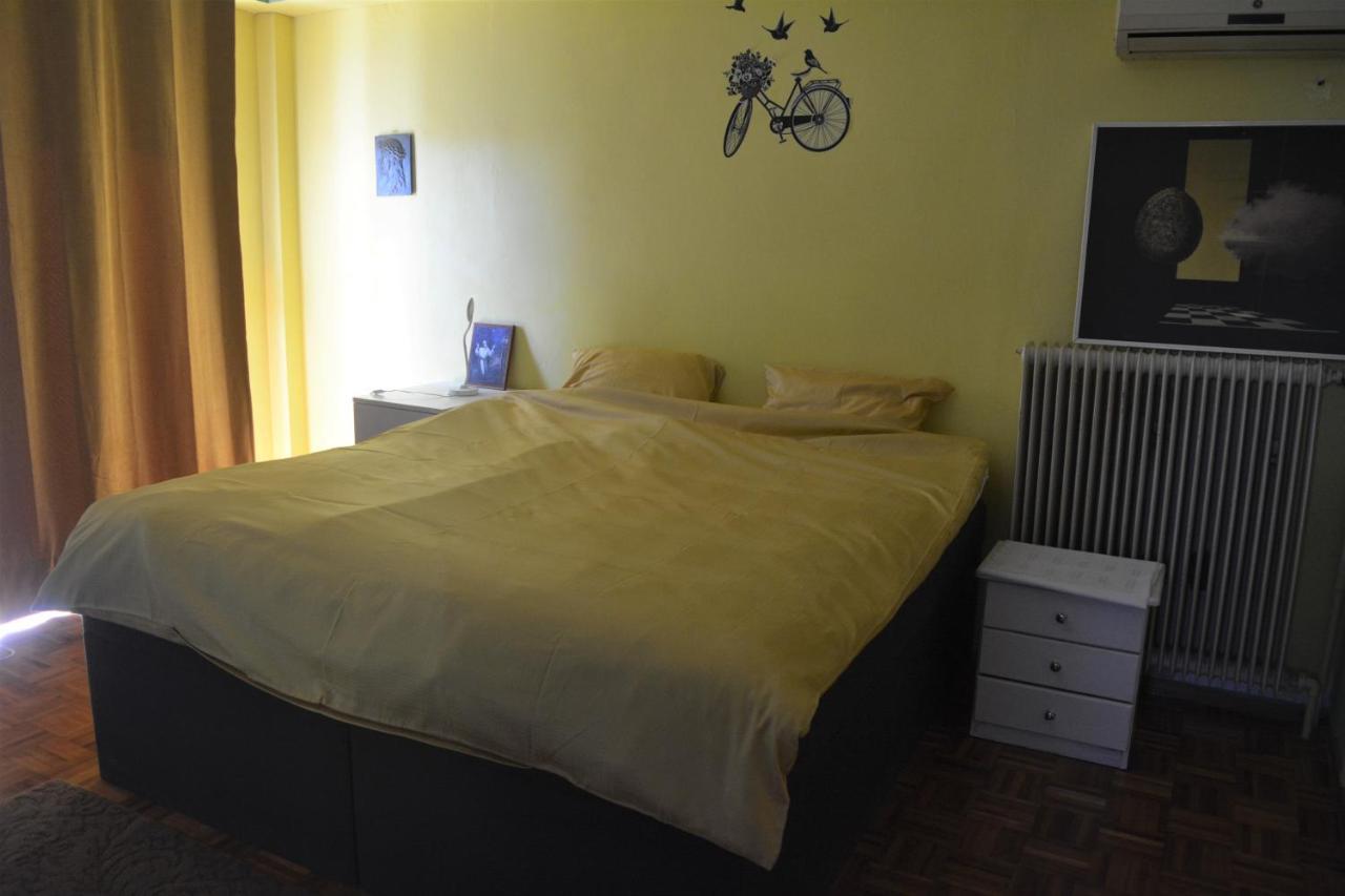 Spacious Apartment With Balconies, Ac, King Bed, Near Dt And Transports Athen Eksteriør billede